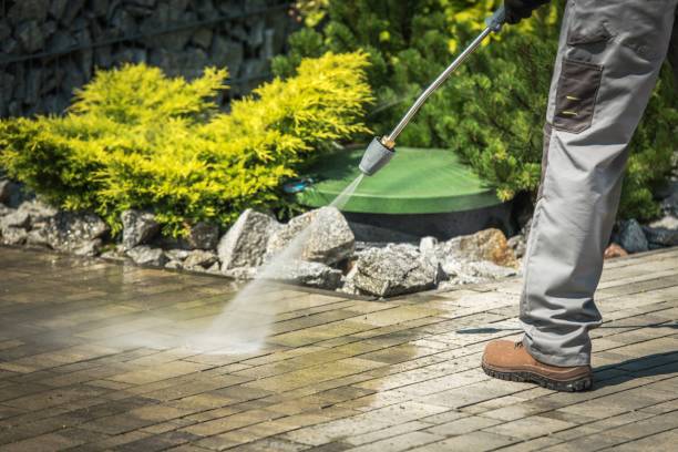 Best Roof Washing  in Pelham, AL
